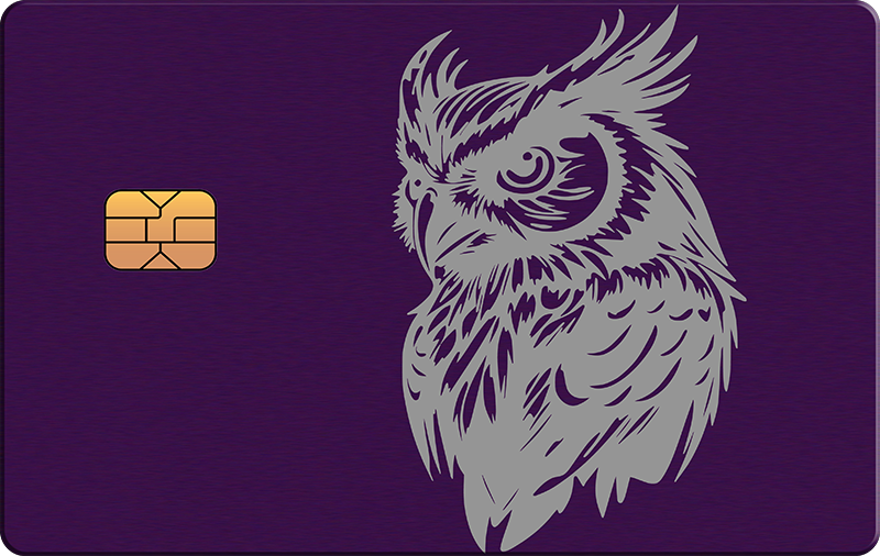 Owl 3